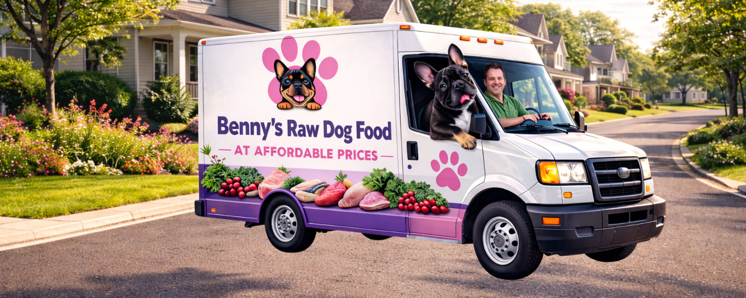 Van with 'Benny's Raw Dog Food' branding on a residential street