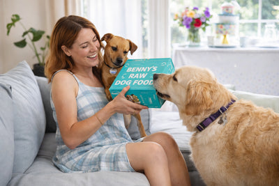 Customer's dog photo